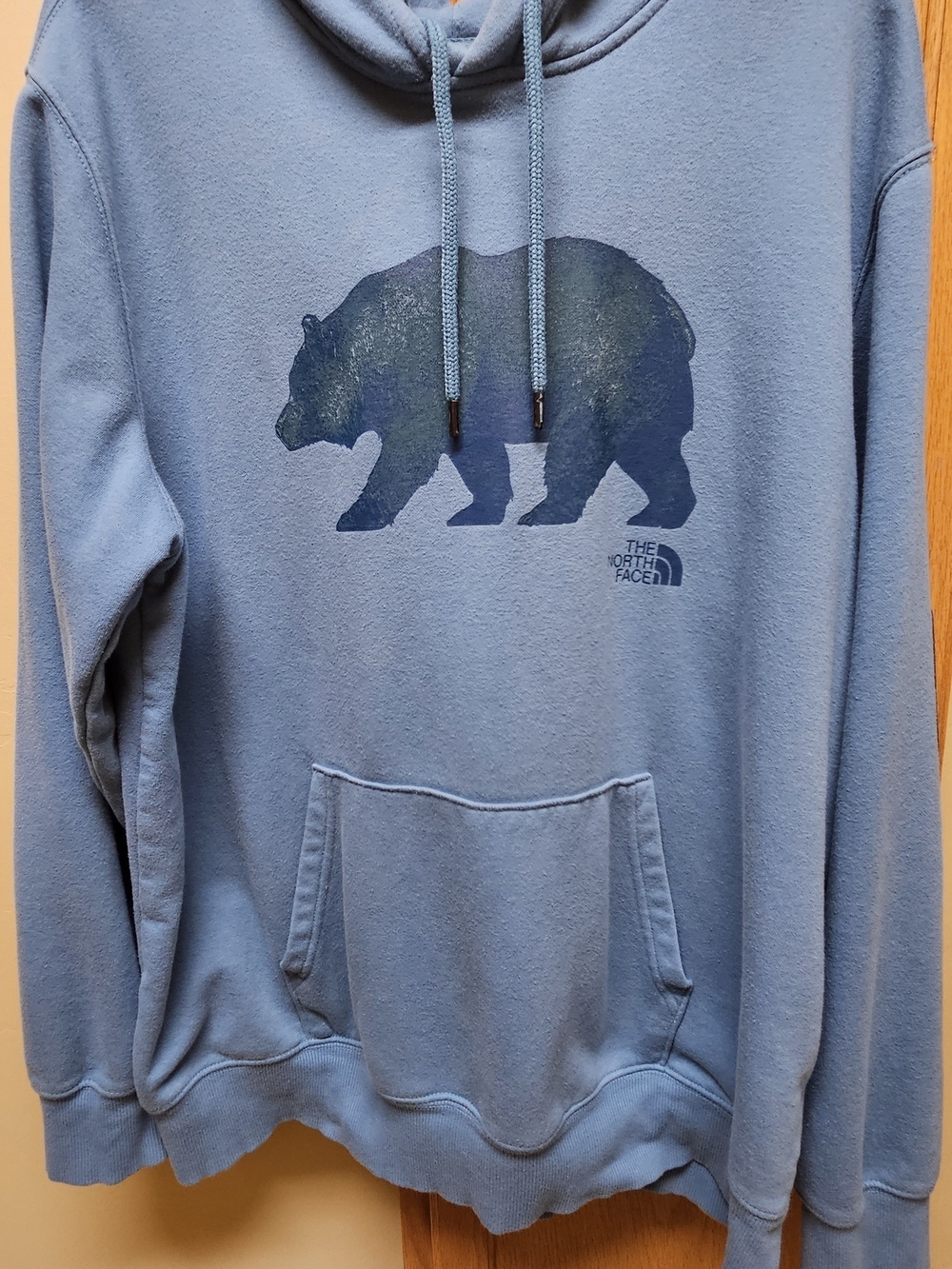 The North Face Men's Blue Bear Graphic Hoodie
